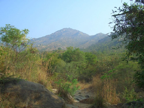 Lord Venkateswara on sacred seven hills or Sapathagiri known as Edukondala Venkataramana The Tirumala seven hills